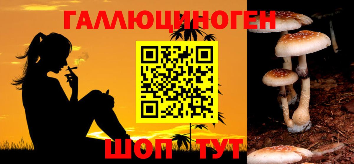 Псилоцибиновые грибы MAGIC MUSHROOMS Асбест